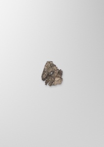 B_0504-0_001